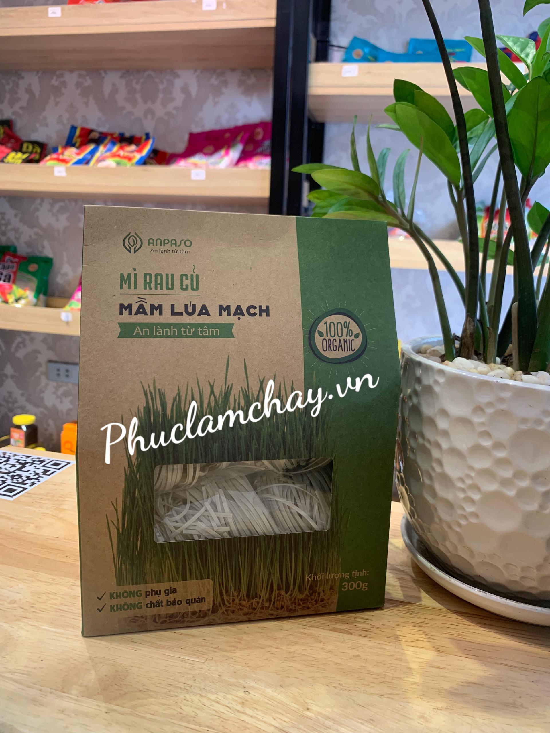 MỲ RAU CỦ MẦM LÚA MẠCH 300G